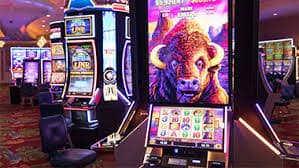 primabet featured game showcase